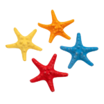 starfish no background